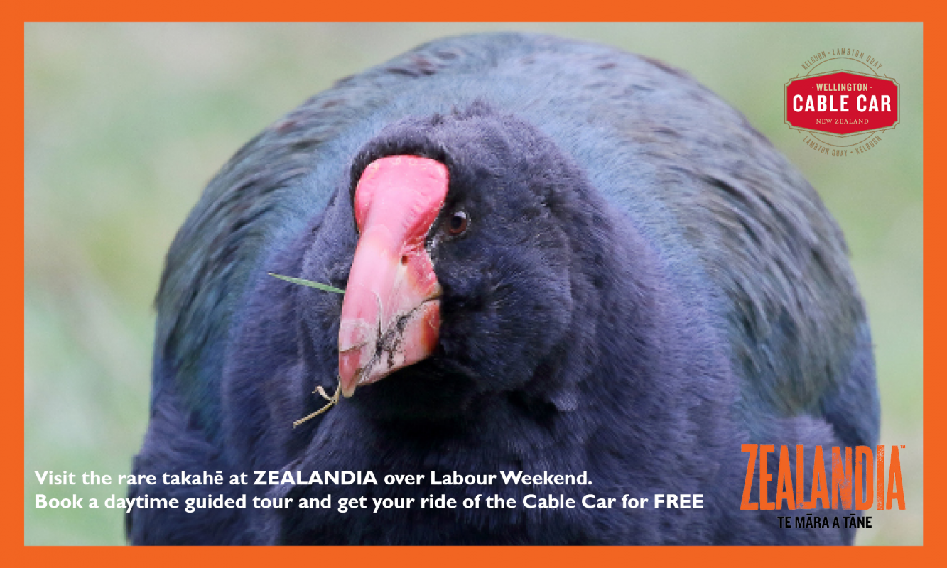 Labour Weekend Zealandia & Cable Car Promo