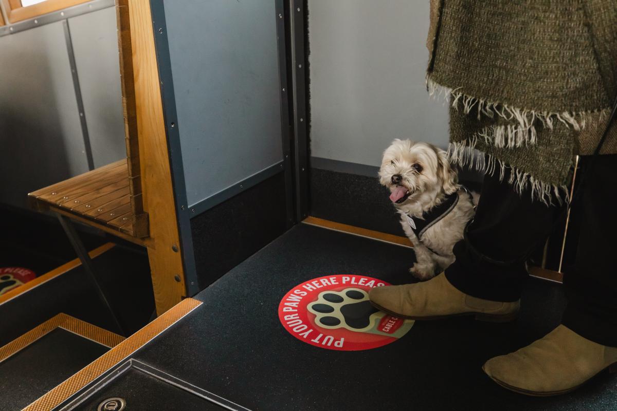Dog riding the Cable Car