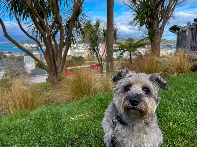 Mr September: Winston