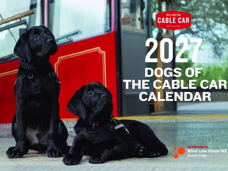 Dogs of the Cable Car 2027 cover