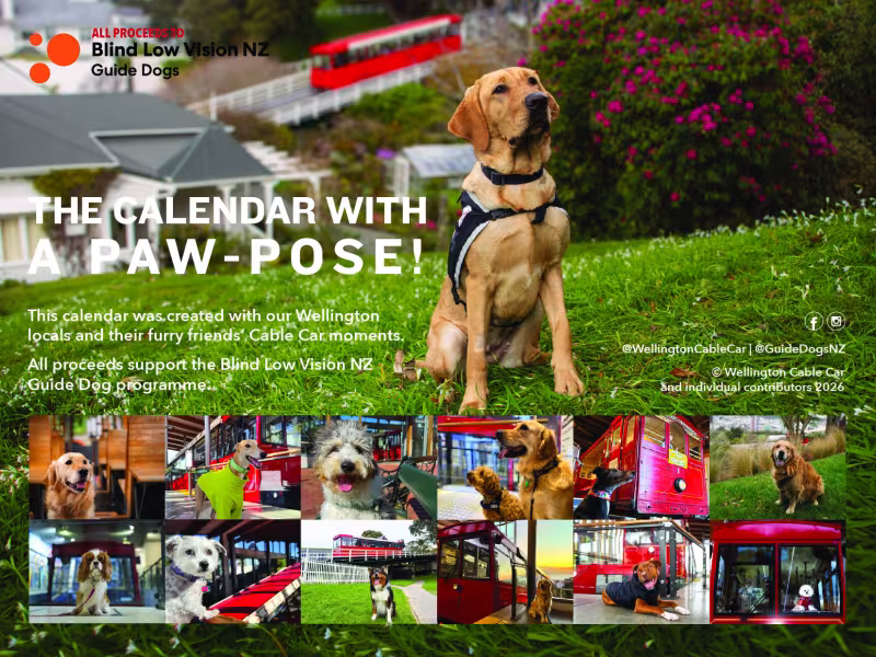 Dogs of the Cable Car 2027 back